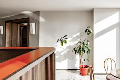 a living room with a potted plant on a counter at Banja Kulaši in Kulaši