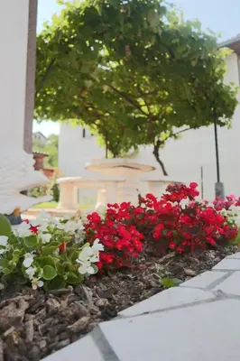 a flower garden with red and white flowers at Sobe-Apartmani Modriča in Modriča