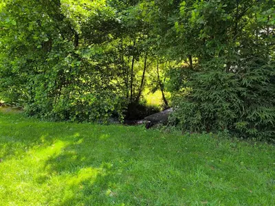 a field of grass with trees and a path at Softa in Travnik