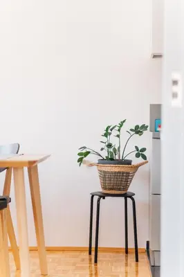 a plant in a basket sitting on a stool in a kitchen at Apartment Jupiter in Tuzla