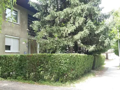 a hedge in front of a house with a tree at Apartman Nena in Banja Luka