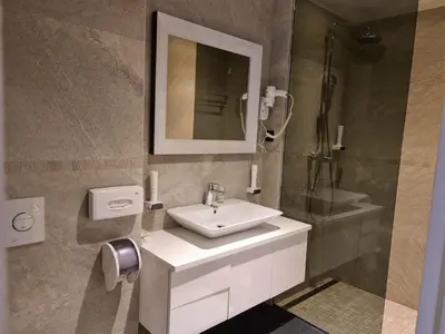 a bathroom with a white sink and a mirror at Carpe Diem Boutique Hotel in Zenica
