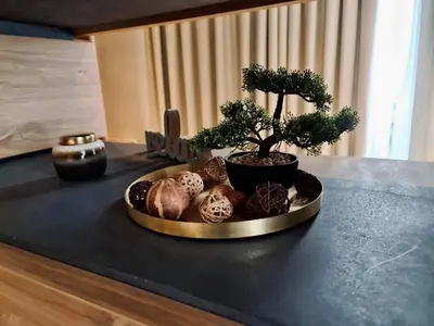 a table with a tray of plants and a bonsai tree at Carpe Diem Boutique Hotel in Zenica
