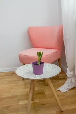 a pink chair and a table with a cactus at City Break Apartment in Visoko