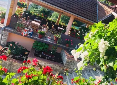 a balcony filled with lots of plants and flowers at Restoran sa sobama za iznajmljivanje MALI RAJ in Mrkonjić Grad