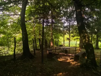 a picnic table in the woods with trees at Lodge Zbilje Visoko, Bosnian Pyramids in Visoko
