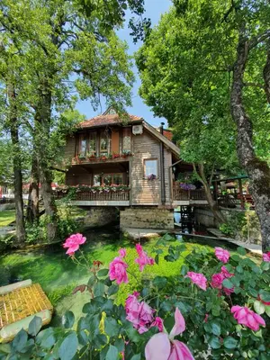 a house with a pond and pink flowers at Apartments MLIN in Bihać