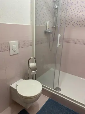 a bathroom with a toilet and a shower at Atlantis Home in Kulen Vakuf