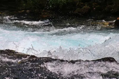 a stream of water with foam on top of it at Domacinstvo na kraju svijeta in Šipovo