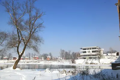 a tree in the snow with a building in the background at Hotel Le Pont in Prijedor
