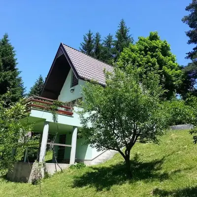 Green Paradise