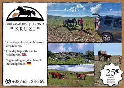 a collage of photos with horses in a field at Apartman Baljak in Livno