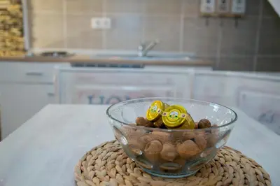 a bowl of rocks on a table in a kitchen at Nektar Park Villa Sara in Bihać