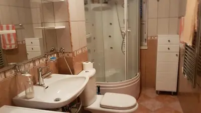 a bathroom with a sink and a shower and a toilet at Sana apartment in Sanski most