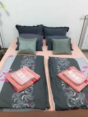a bed with two pillows on top of it at Irma in Tuzla