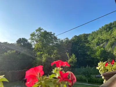 a view of a garden with red flowers in the foreground at Holiday Residence Burić in Visoko