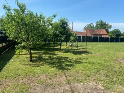 a group of trees in a grass field at Vikendica Atos in Nova Topola