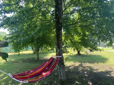 a hammock tied to a tree in a park at Vikendica Atos in Nova Topola