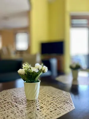 a vase with white flowers sitting on a table at Villa Sun Visoko in Visoko