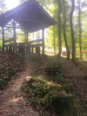a wooden pavilion in the middle of a forest at Spacious and Charming House in Vozuća with Large Garden in Vozuća