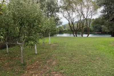a row of trees in a field next to a lake at House Legacy in Bihać