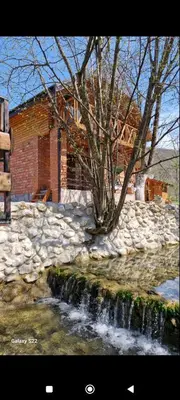 a tree sitting next to a creek in front of a building at Live Nature in Bihać