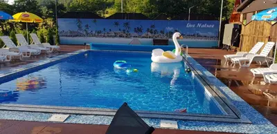 a pool with a swan and two ducks in it at Live Nature in Bihać