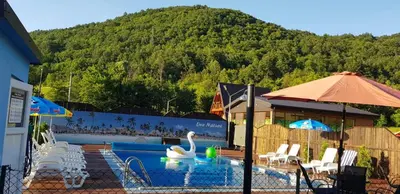 a pool with a swan and chairs and an umbrella at Live Nature in Bihać