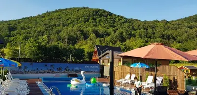 a swimming pool with swans and chairs and a mountain at Live Nature in Bihać