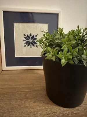 a plant in a black pot next to a picture at Apartman DIJANA in Banja Luka