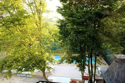 an overhead view of a swimming pool between trees at 