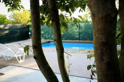a swimming pool with two chairs and two trees at 