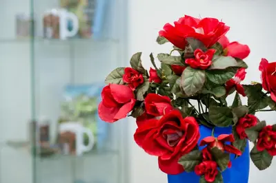 a bouquet of red roses in a blue vase at Villa Jajce in Jajce
