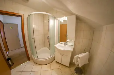 a bathroom with a shower and a sink and a toilet at Apartments Crvena Jabuka in Ključ
