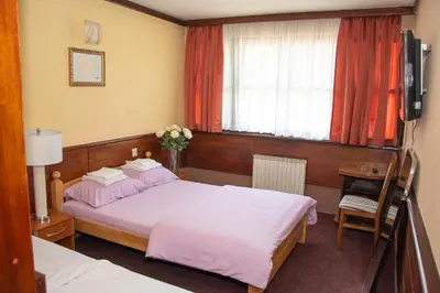 a bedroom with a large bed and a window at Hotel TISA in Busovača