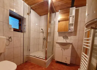 a bathroom with a shower and a toilet and a sink at Vikendica PAM in Vlasic