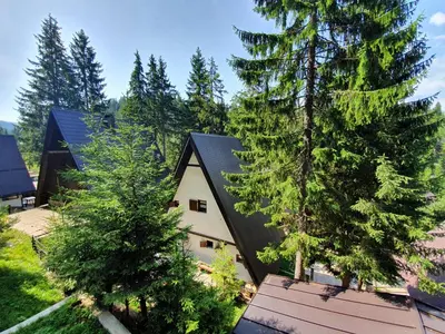 an aerial view of a house with trees at Vikendica PAM in Vlasic