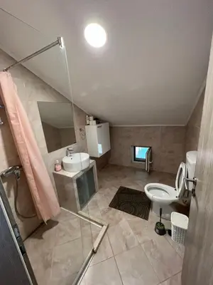 a bathroom with a shower and a sink and a toilet at Aman Guesthouse in Bihać