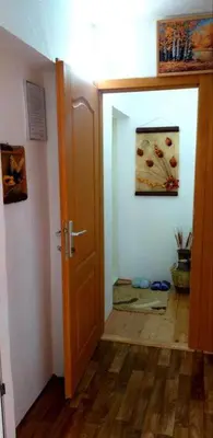 a hallway with a door and a painting on the wall at Apartmani GS ***** Zavidovici in Zavidovići