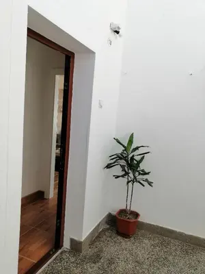 a potted plant sitting in a hallway next to a door at Apartman EDEN No 1 in Teslić