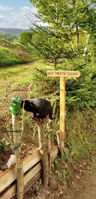 a bird standing next to a sign in a field at Cozy House in Jazvine with Garden in Jazvine