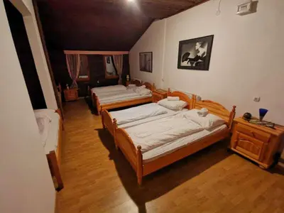 three beds in a room with wooden floors at Winter Forest Vlasic in Travnik