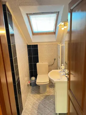 a bathroom with a toilet and a sink with a skylight at Apartmani Ćurković in Kupres