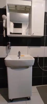 a bathroom with a sink and a mirror at Vlasic holiday home in Vlasic