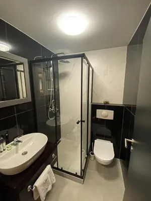 a bathroom with a shower and a toilet and a sink at Prenociste Lane in Ključ