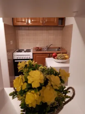 a kitchen with a vase of flowers on a counter at Apartman Ivana in Jajce