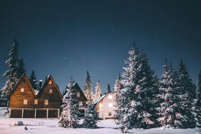 a group of trees covered in snow in front of a cabin at Vikendica Eden in Vlasic