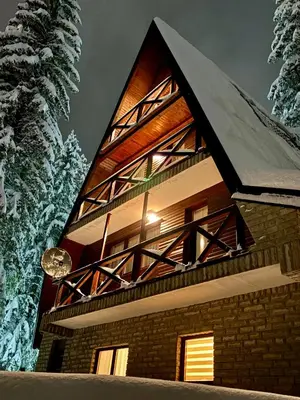 a house in the woods at night at KUĆA NENO in Vlasic