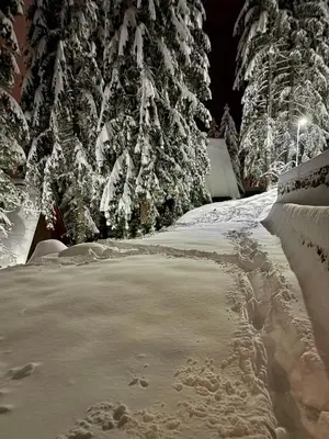 a snow covered road with trees in the background at KUĆA NENO in Vlasic