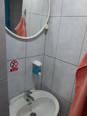a bathroom with a white sink and a mirror at SubotićSmještaj in Kulaši
